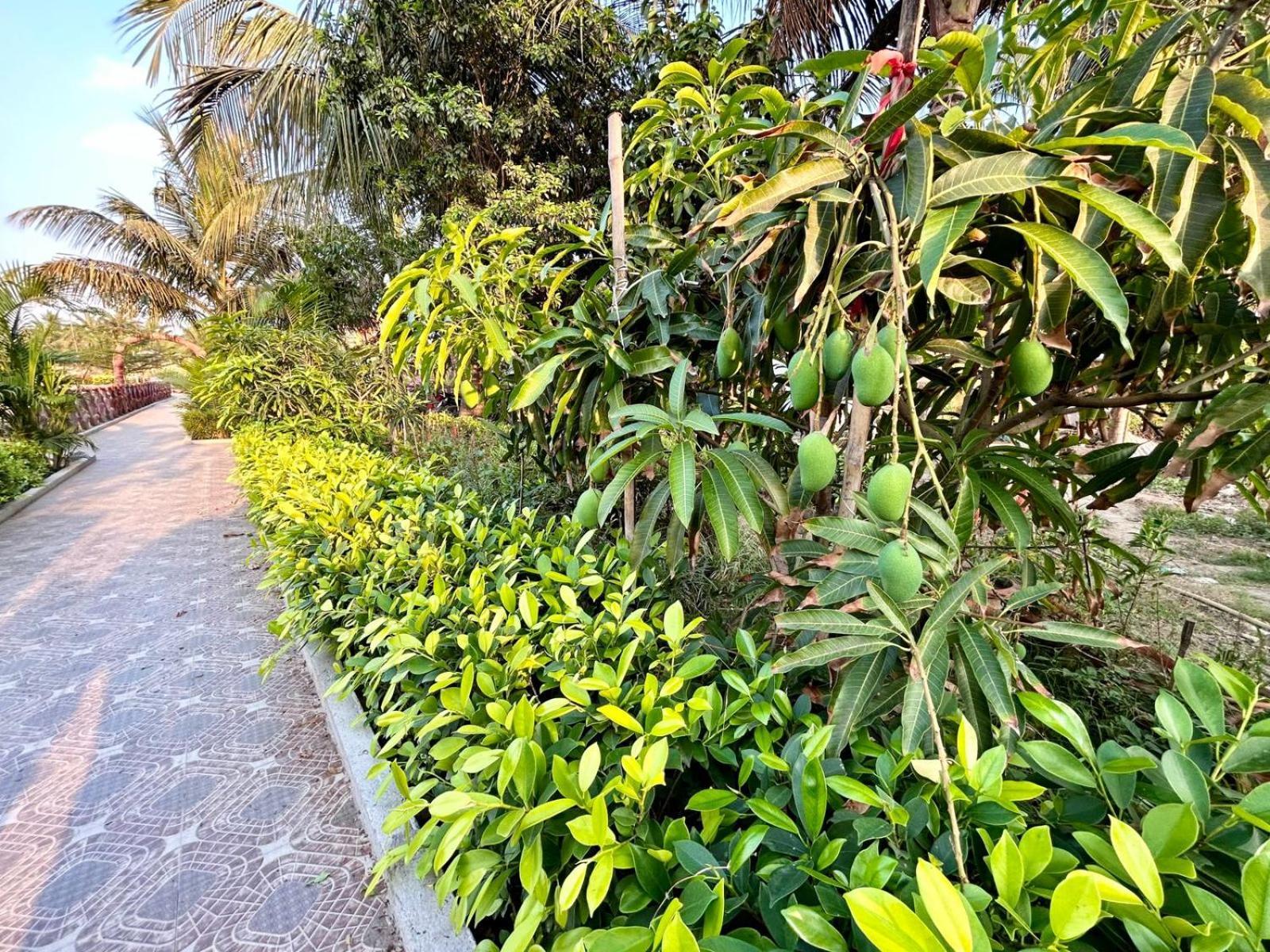 Palli Bangla Resort, Near Ruby Hospital, Anandapur Kolkata Bagian luar foto